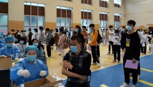 杨少直播爆料最新消息视频 第3张 杨少直播爆料最新消息视频 第3张